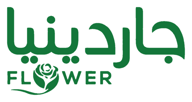 جاردينيا